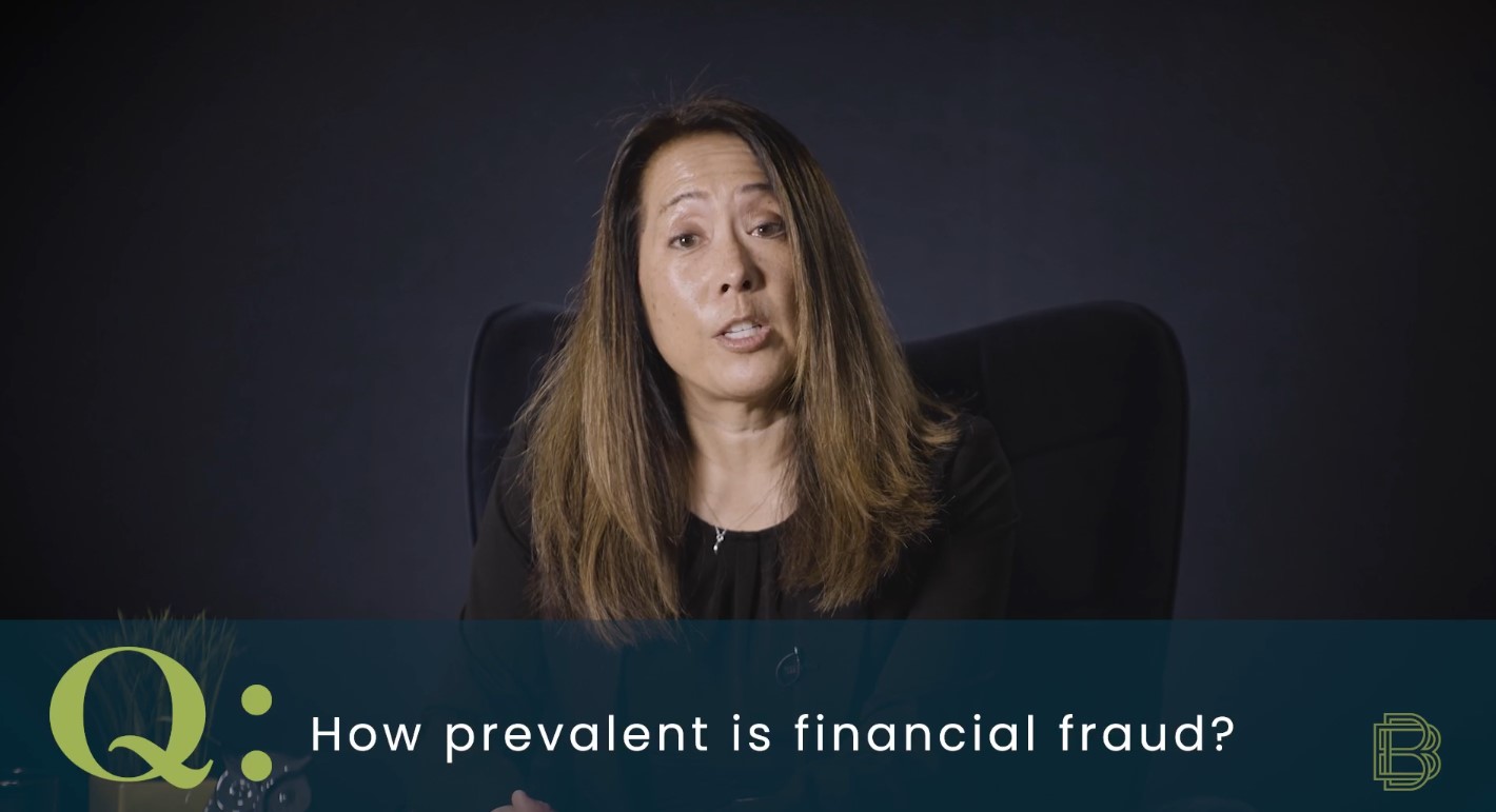 Cover image of Fraud Video Series